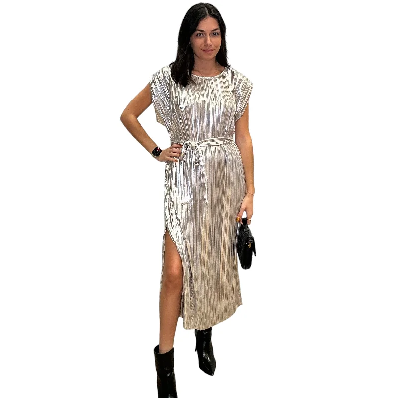 Silver Pleated Dress