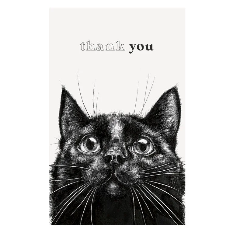 Black Cat Thank You Notecards Pack Casual Knit Sweater
